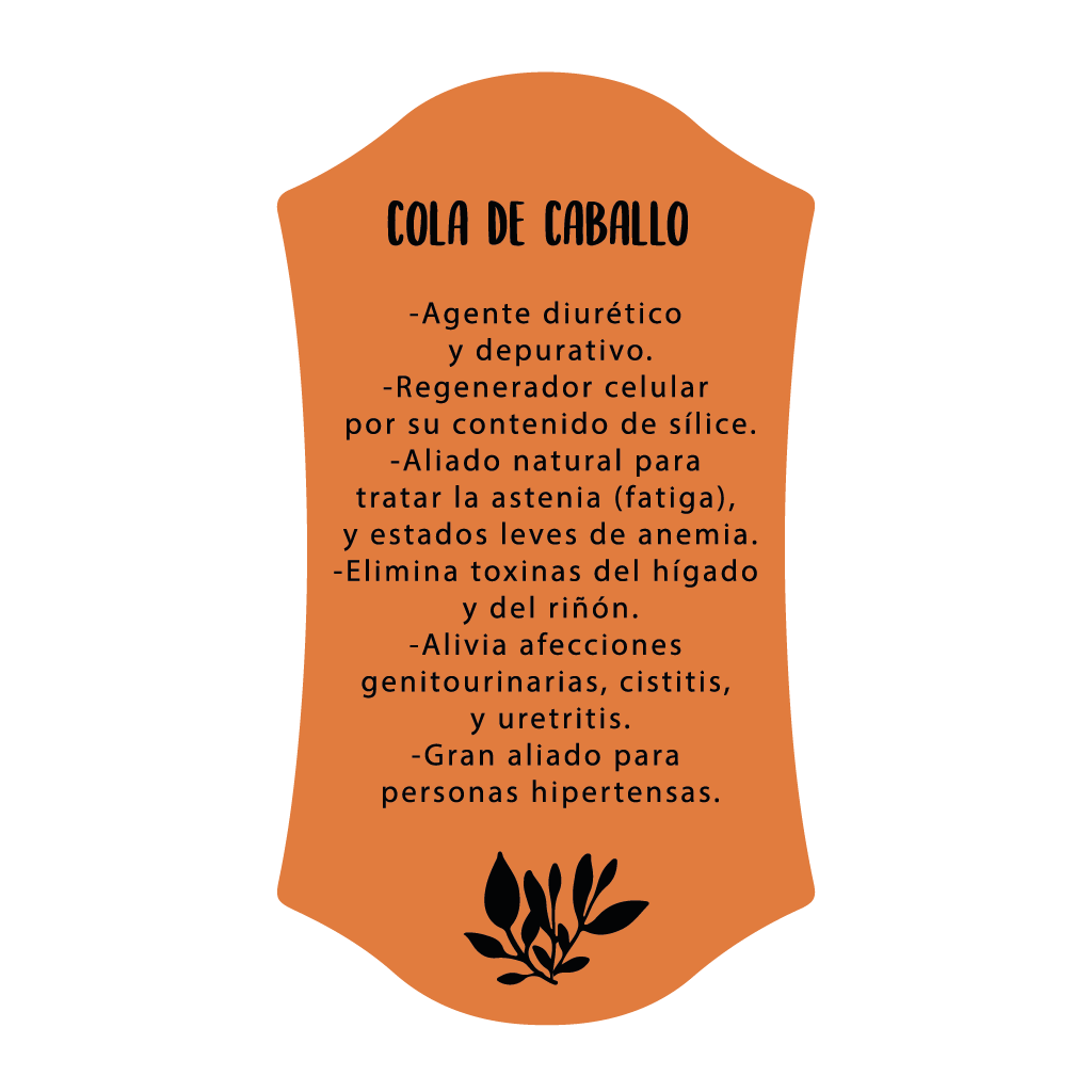 Cola de Caballo detalle